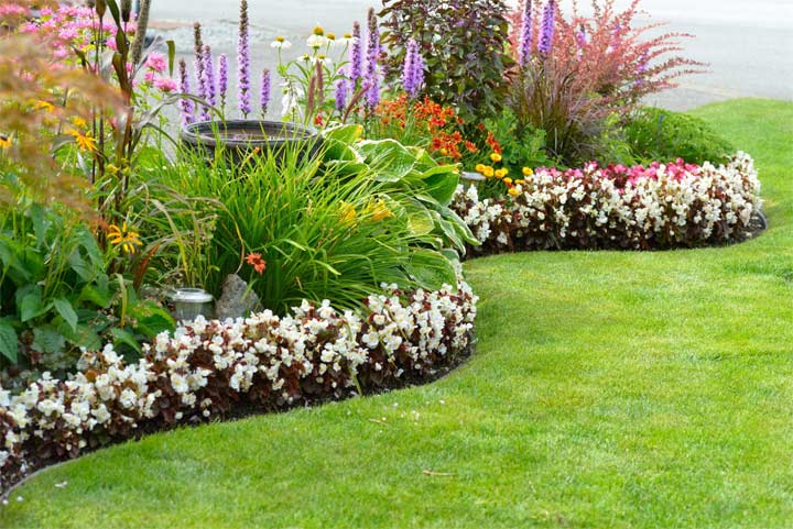 Grounds Maintenance & Landscaping Services